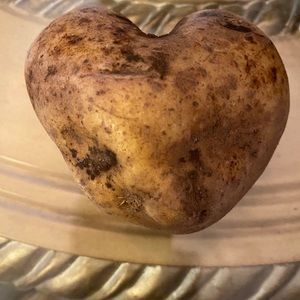 Meet your Posher, Dora elia